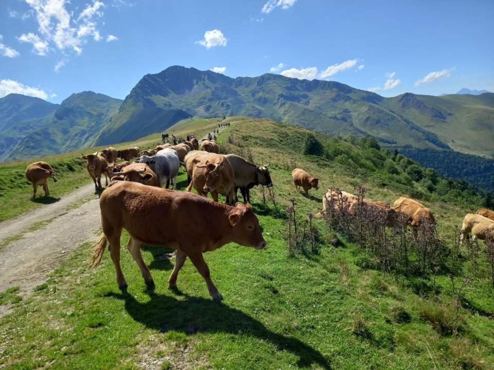 Plein Sud Daire Saint-Aventin Dış mekan fotoğraf